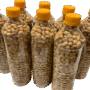 GROUND  NUT