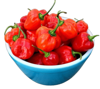 CAMEROON PEPPER