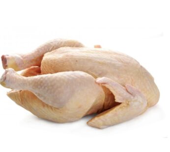STEWING  HEN