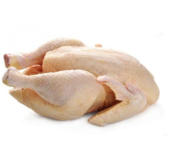 STEWING  HEN