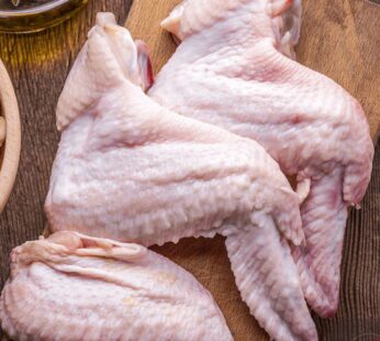 TURKEY  WING