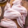 TURKEY  WING